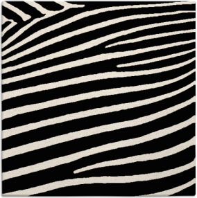Zebra Rug